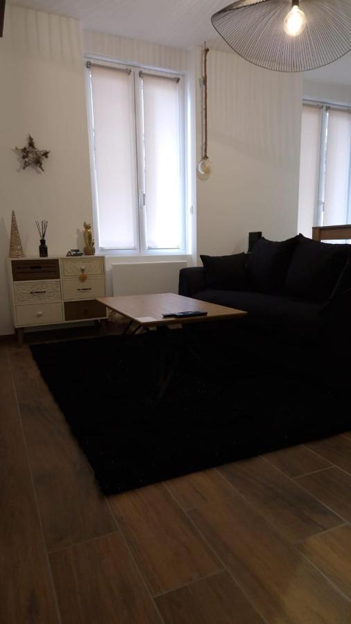 Appartement Cosy Centre Ville Roanne Exterior photo