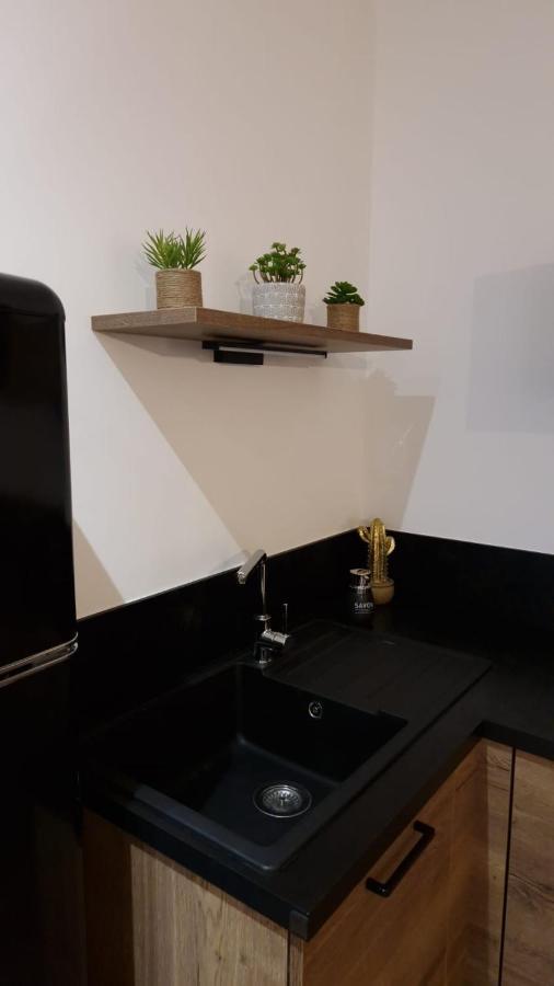 Appartement Cosy Centre Ville Roanne Exterior photo